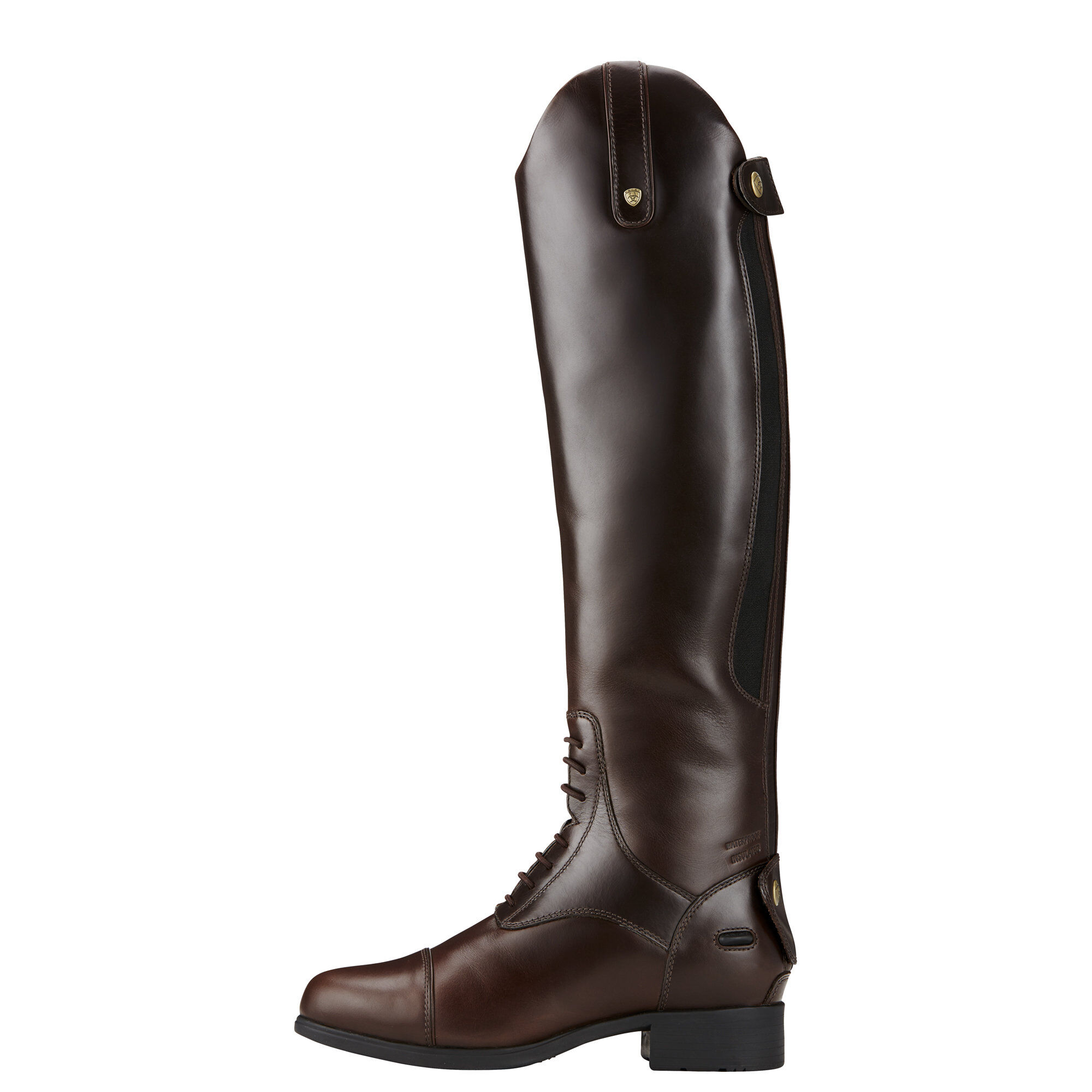Ariat Capriole Tall riding Boot in Black