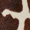 BROWN COW PRINT