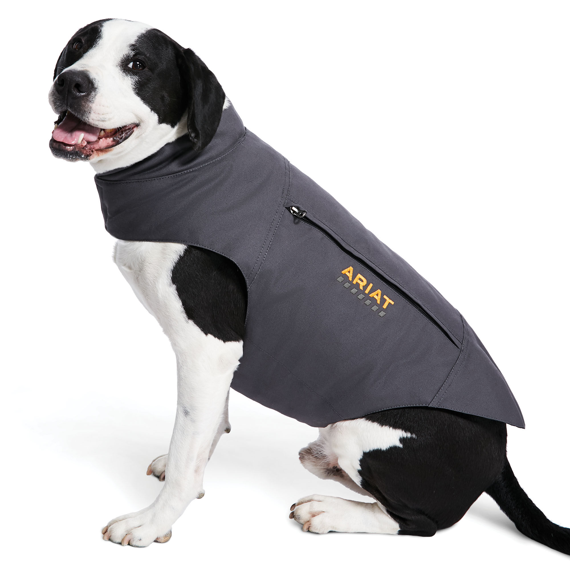 ariat dog coat