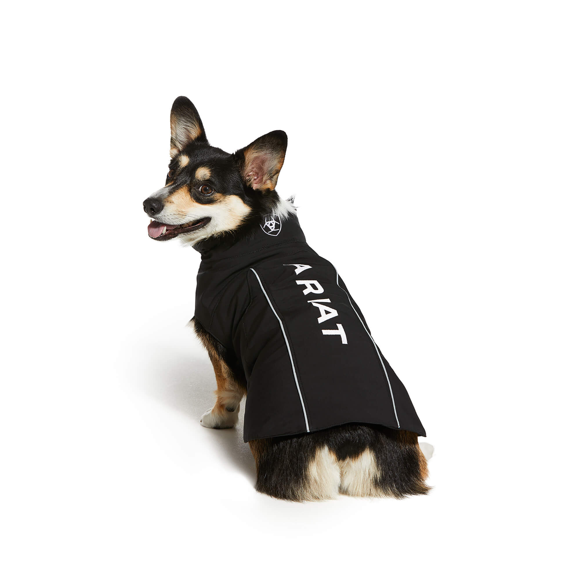 personalised dog jackets