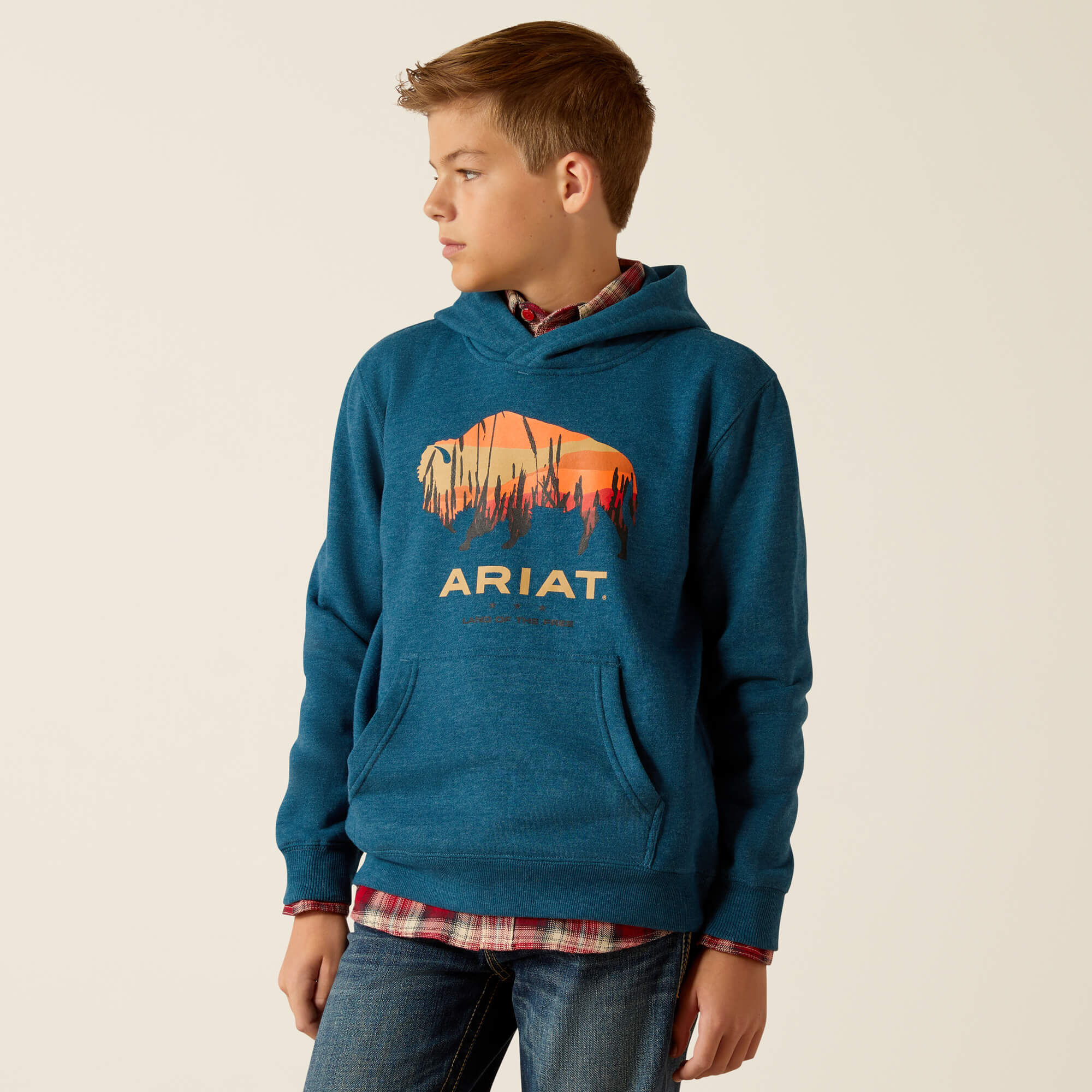 Bison Plains Hoodie