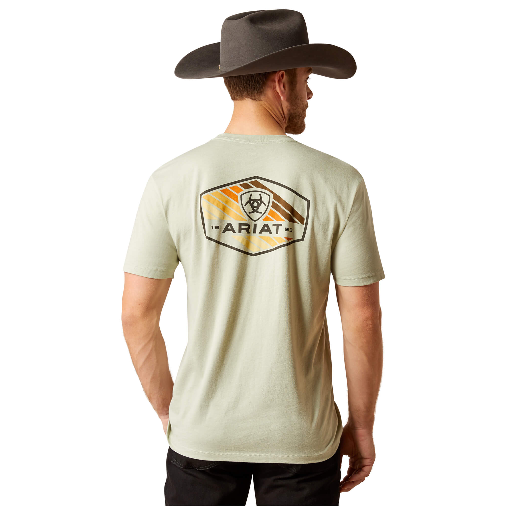 Men's Retro Hex Stripe T-Shirt in Desert Sage Heather, Size: Small by Ariat